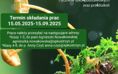 Konkurs fotograficzny „NIEOCZYWISTE CUDA NATURY”