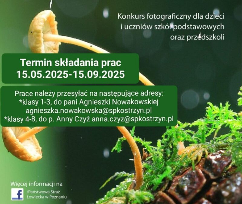 Konkurs fotograficzny „NIEOCZYWISTE CUDA NATURY”