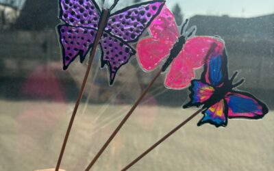 Motyli Wolontariat dla Hospicjum Palium w Poznaniu