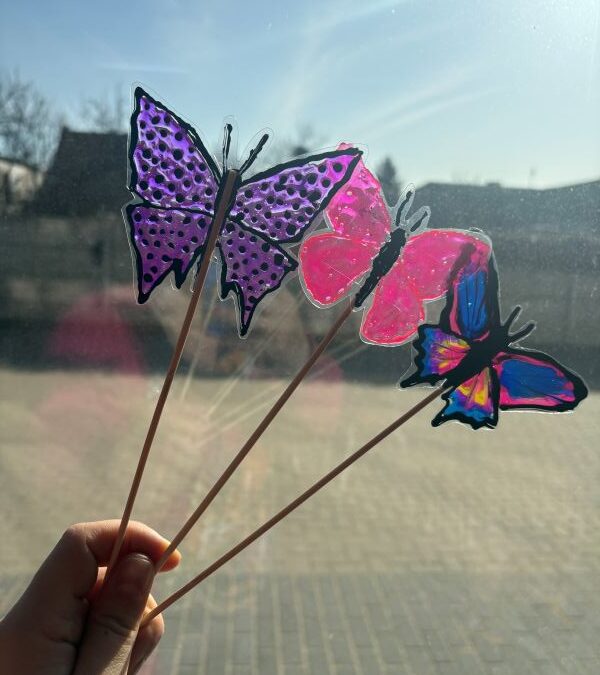 Motyli Wolontariat dla Hospicjum Palium w Poznaniu