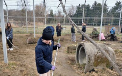 Wolontariat w Nowym Zoo