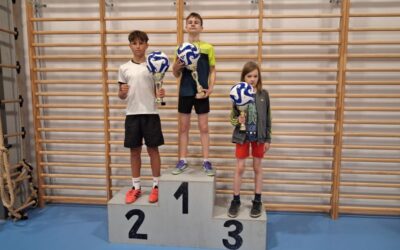 Liga Tenisa Stołowego